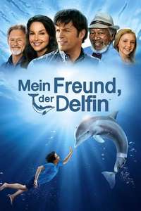 Dolphin Tale - Posters