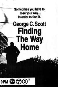 Finding the Way Home - Poster
