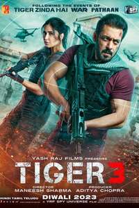 Tiger 3 - Posters