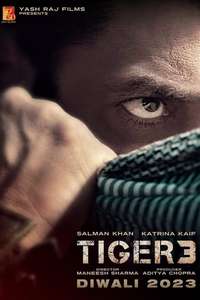 Tiger 3 - Posters