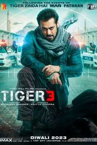 Tiger 3 - Posters