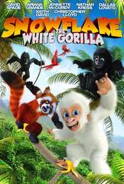 Snowflake  the White Gorilla