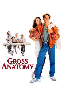 Gross Anatomy - Poster