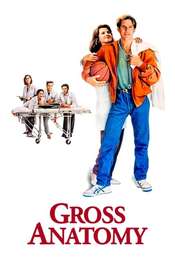 Gross Anatomy