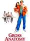 Gross Anatomy