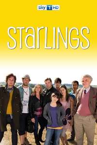 Starlings - Poster