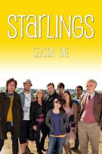 Starlings - Poster