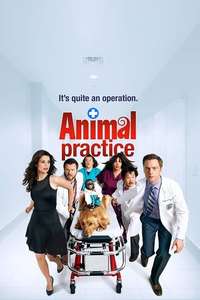 Animal Practice - Poster