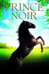 Black Beauty - Posters