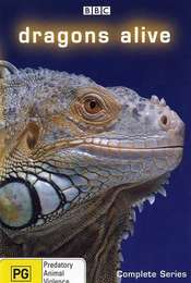 Dragons Alive
