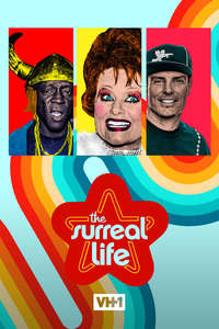 The Surreal Life - Poster