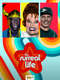 The Surreal Life : Season 3