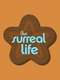 The Surreal Life : Season 2