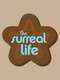 The Surreal Life : Season 5