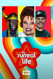 The Surreal Life Season 6