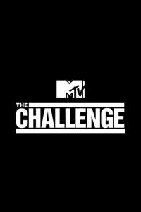 The Challenge - Posters