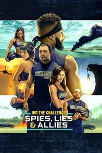 The Challenge - Posters