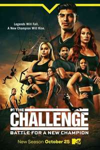 The Challenge - Posters