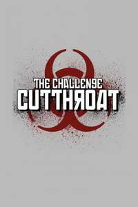 The Challenge - Posters