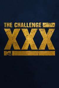 The Challenge - Posters