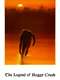 The Legend of Boggy Creek