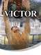 Victor