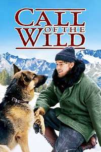 Call of the Wild - Poster