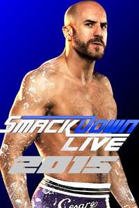 WWE SmackDown Live - Posters