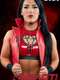Impact Wrestling : Season 17 (2020)