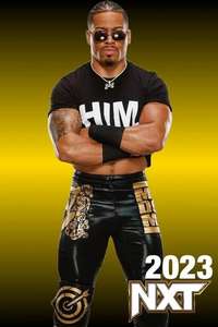 WWE NXT - Posters