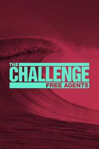 The Challenge - Posters