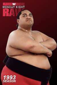 WWE Raw - Posters