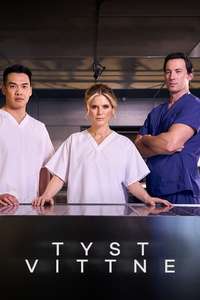 Silent Witness - Poster