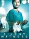 Silent Witness : Series 8