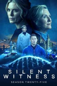 Silent Witness - Poster