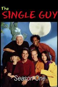 The Single Guy - Poster
