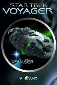 Star Trek: Voyager - Poster