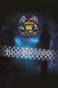 Blue Heelers - Poster