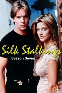 Silk Stalkings - Poster