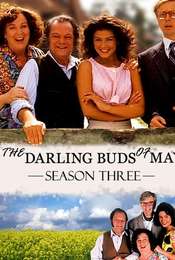 The Darling Buds of May Season 3