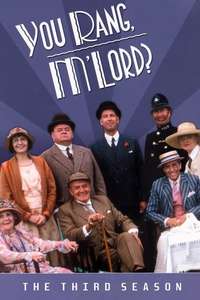 You Rang  M'Lord? - Poster
