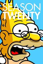 The Simpsons Season 20
