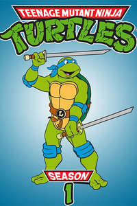Teenage Mutant Ninja Turtles - Posters