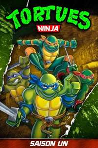 Teenage Mutant Ninja Turtles - Posters