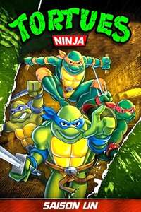 Teenage Mutant Ninja Turtles - Posters
