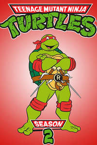 Teenage Mutant Ninja Turtles - Posters