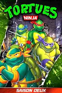 Teenage Mutant Ninja Turtles - Posters