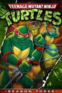 Teenage Mutant Ninja Turtles - Posters
