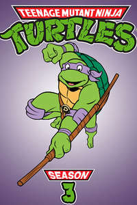 Teenage Mutant Ninja Turtles - Posters
