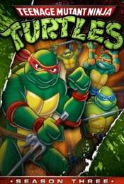 Teenage Mutant Ninja Turtles Season 3